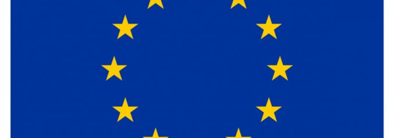 vlajka_eu.jpg