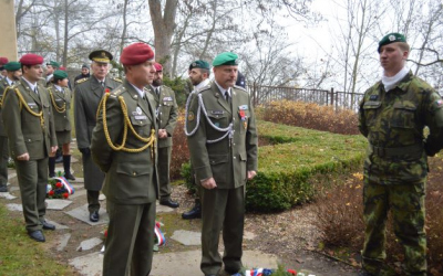 den_vv.jpg