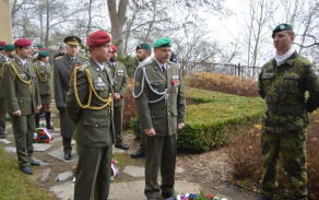 den_vv.jpg